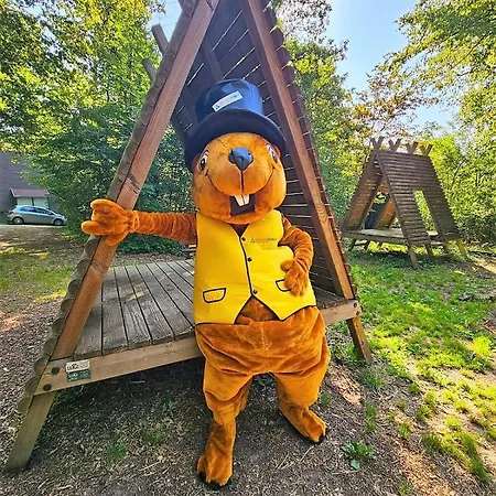 シャレー Boshuisje 145 Met Privebalkon - *