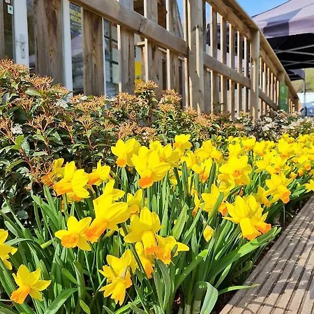 샬레 Boshuisje 145 Met Privebalkon - *